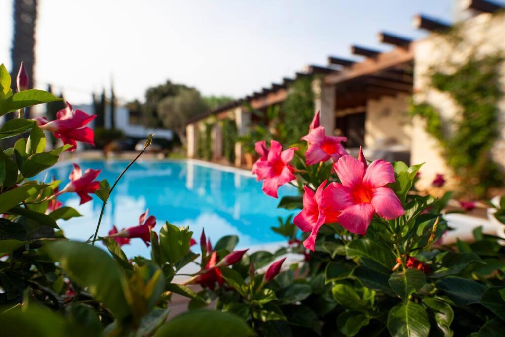 Spaziosa Villa Con Piscina E Giardino, Полиньяно-а-Маре Экстерьер фото